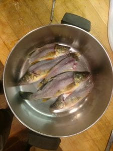remains of filleted perch in a stock pot