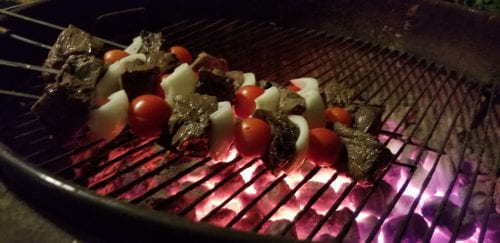 shish kabobs on hot charcoal grill